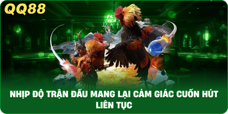 Lý Do AOG Đá Gà Thu Hút Người Chơi Việt